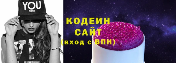индика Куйбышев