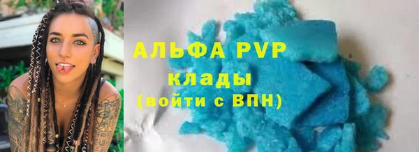 индика Куйбышев