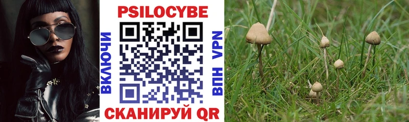 Купить Каменск-Уральский Псилоцибиновые грибы прущие грибы