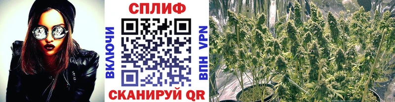 МАРИХУАНА SATIVA & INDICA  Купить  Каменск-Уральский 
